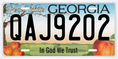GA license plate QAJ9202