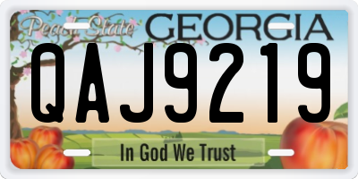 GA license plate QAJ9219