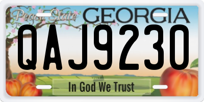 GA license plate QAJ9230