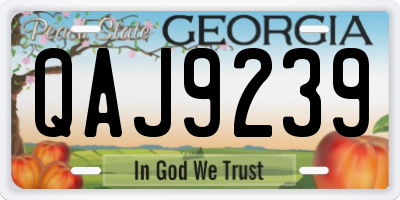 GA license plate QAJ9239