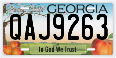 GA license plate QAJ9263