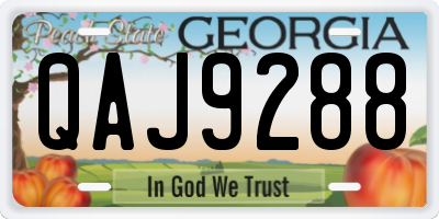 GA license plate QAJ9288