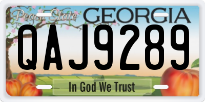 GA license plate QAJ9289
