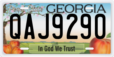 GA license plate QAJ9290