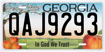 GA license plate QAJ9293