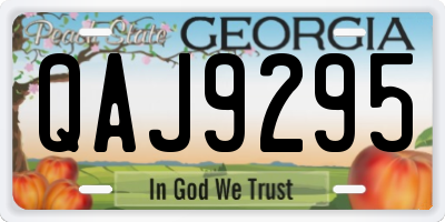 GA license plate QAJ9295