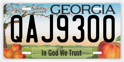 GA license plate QAJ9300