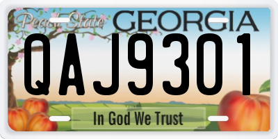 GA license plate QAJ9301