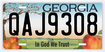 GA license plate QAJ9308