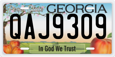 GA license plate QAJ9309