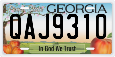GA license plate QAJ9310