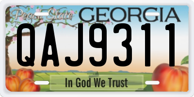 GA license plate QAJ9311