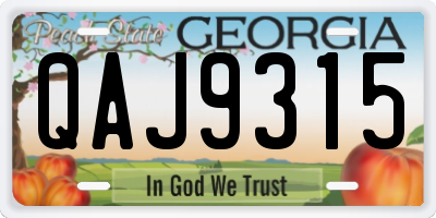 GA license plate QAJ9315