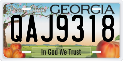 GA license plate QAJ9318