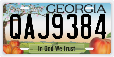 GA license plate QAJ9384