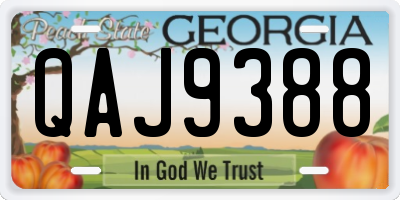 GA license plate QAJ9388