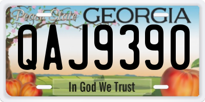 GA license plate QAJ9390