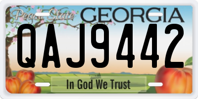 GA license plate QAJ9442