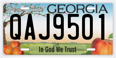 GA license plate QAJ9501
