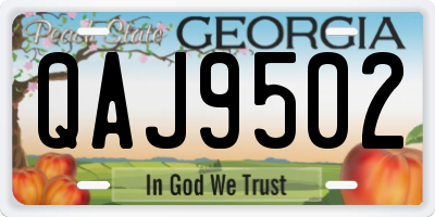 GA license plate QAJ9502
