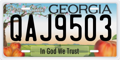 GA license plate QAJ9503