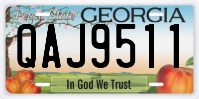GA license plate QAJ9511