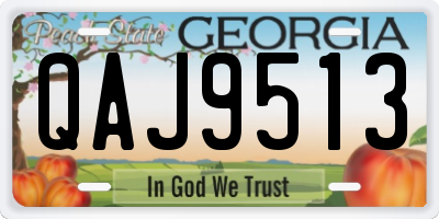 GA license plate QAJ9513