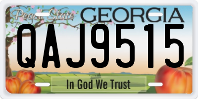 GA license plate QAJ9515
