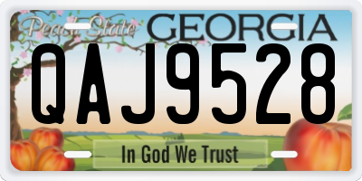 GA license plate QAJ9528