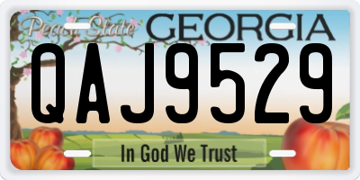 GA license plate QAJ9529