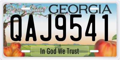 GA license plate QAJ9541