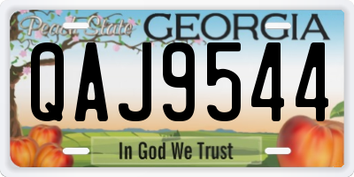 GA license plate QAJ9544