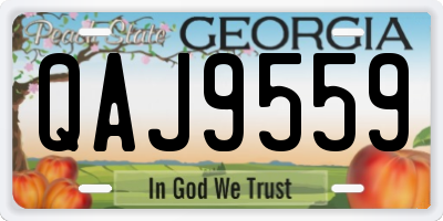 GA license plate QAJ9559