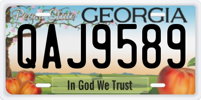 GA license plate QAJ9589