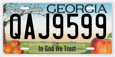 GA license plate QAJ9599