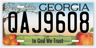 GA license plate QAJ9608