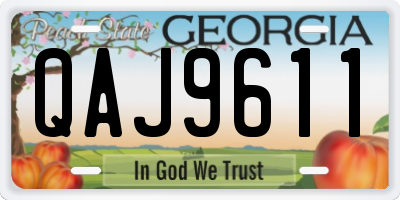 GA license plate QAJ9611
