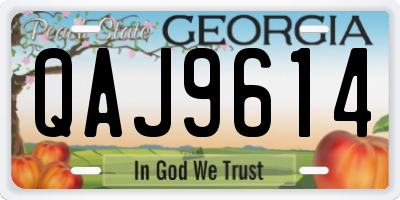 GA license plate QAJ9614