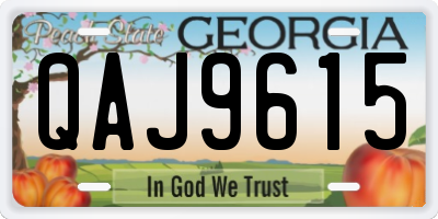 GA license plate QAJ9615
