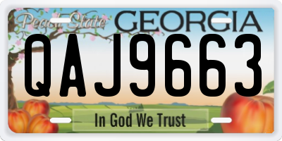 GA license plate QAJ9663