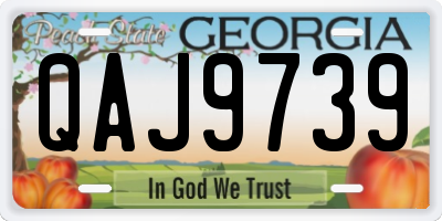 GA license plate QAJ9739