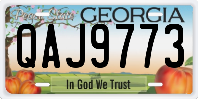 GA license plate QAJ9773