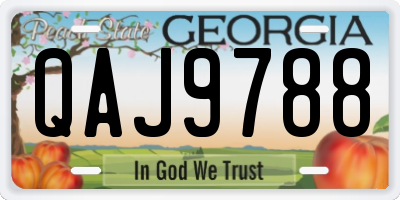 GA license plate QAJ9788