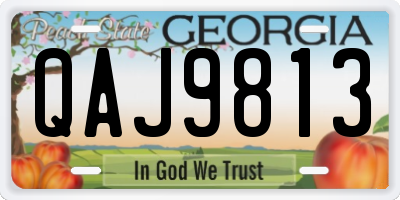GA license plate QAJ9813
