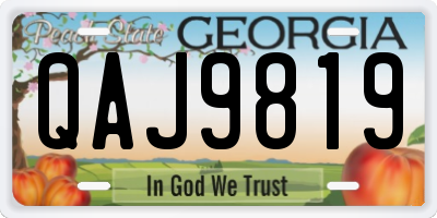 GA license plate QAJ9819