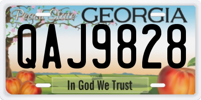 GA license plate QAJ9828