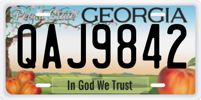 GA license plate QAJ9842