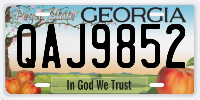 GA license plate QAJ9852