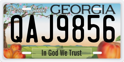 GA license plate QAJ9856