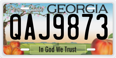 GA license plate QAJ9873